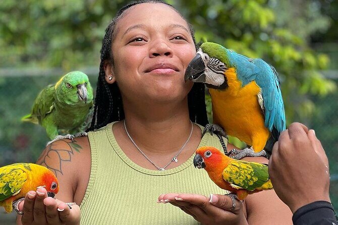 Bird Sanctuary and animal farm Day Tour - Practical Details: Transportation, Timing, and Value