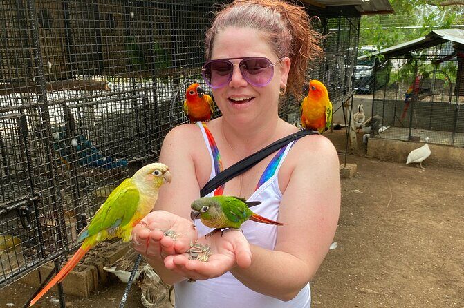 Bird Sanctuary and Montego Bay City Tour - Practical Tips for Travelers