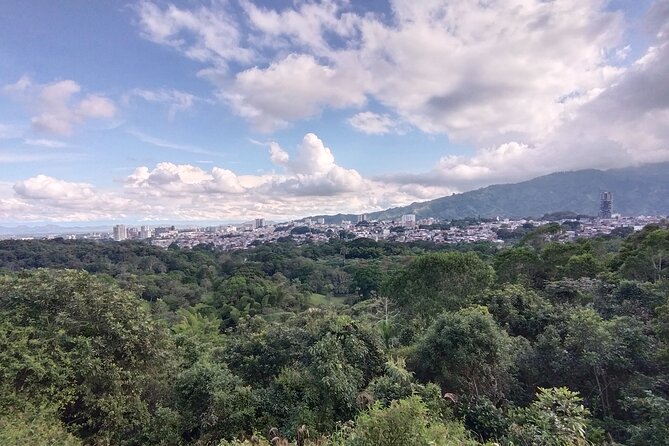 Bird-Watching and Nature Reserve Experience in Ibague - Inclusions and What to Expect