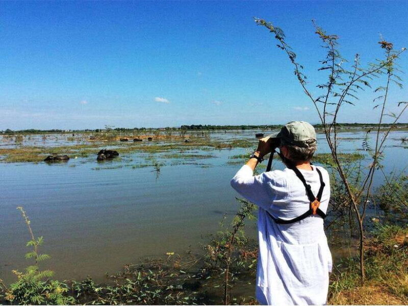 Bird Watching at Tonle Saps Inundated Forest From Siem Reap - An In-Depth Look at the Experience