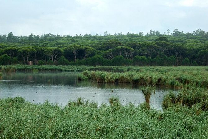 Bird Watching in Albufeira Lagoon - Booking Issues Assistance