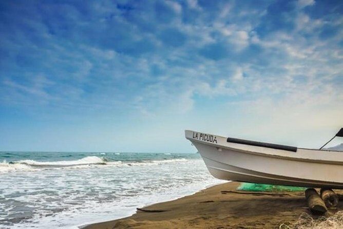 Bird watching in La Mancha - The Itinerary: What to Expect