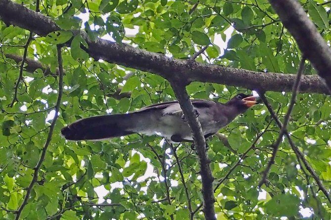 Bird watching in La Mancha - Cancellation and Practicalities