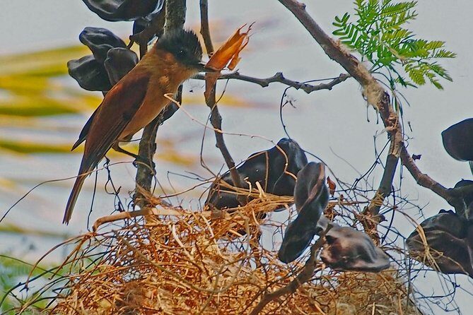 Bird watching in La Mancha - Final Thoughts