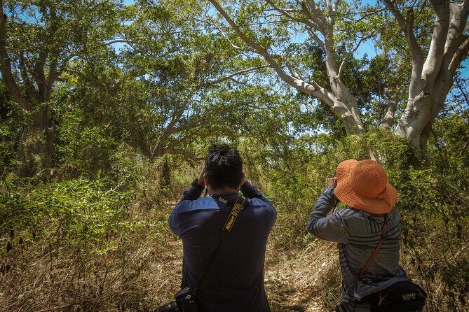 Bird Watching Mazatlán - Birding Tour - FAQ