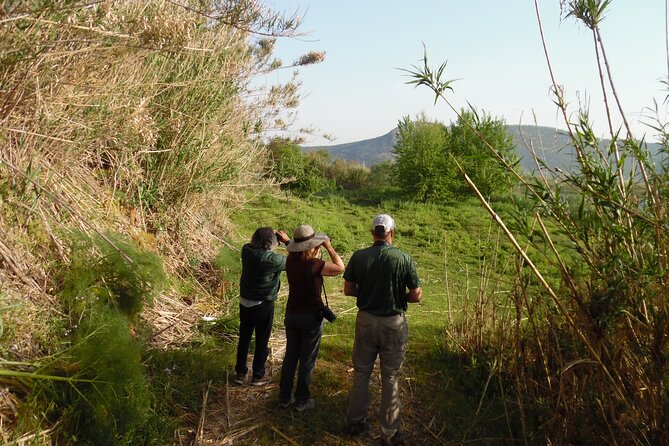 Bird Watching Tour From Kusadasi - What to Bring
