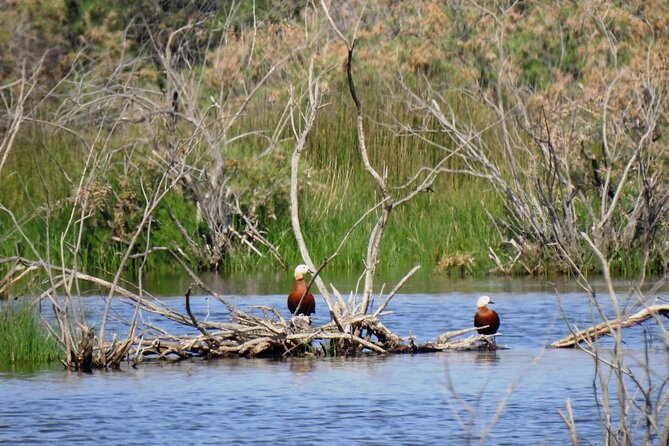 Bird Watching Tour From Kusadasi - Pricing Information