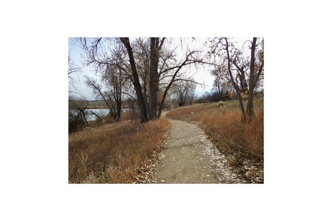 Bird Watching Walking Tour - FAQ