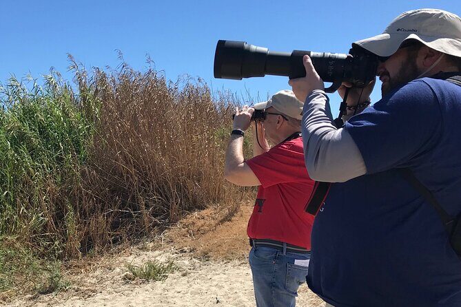 Birding Tour in La Paz Mexico - Exploring the Birding Tour in La Paz, Mexico: A Naturalist’s Delight
