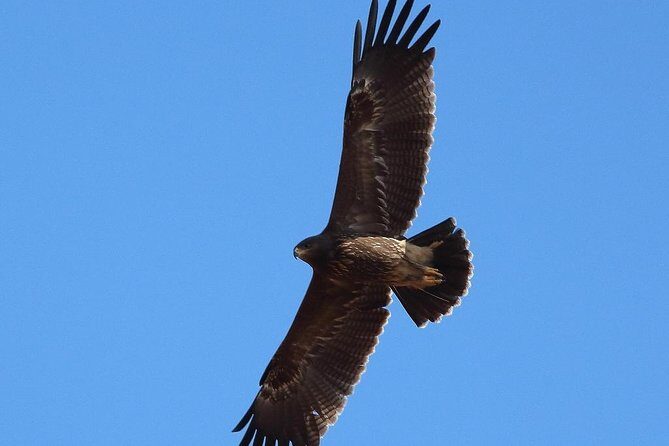 Birdwatching and cultural heritage tour from Varna - Exploring the Itinerary: A Closer Look