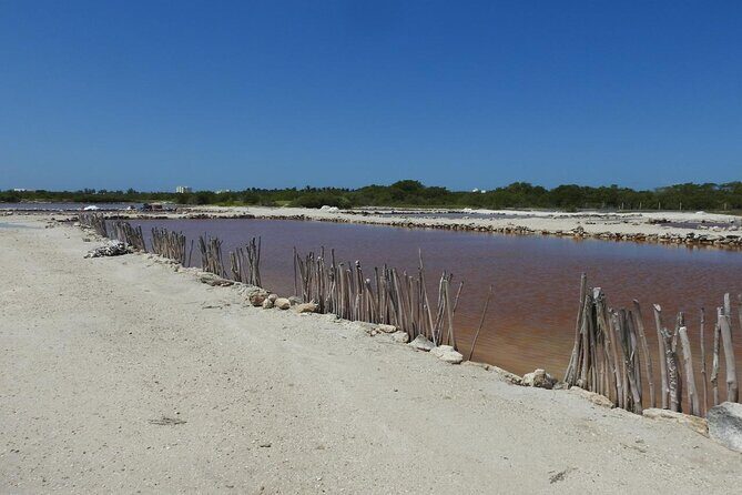 Birdwatching around Merida and coastline - FAQ