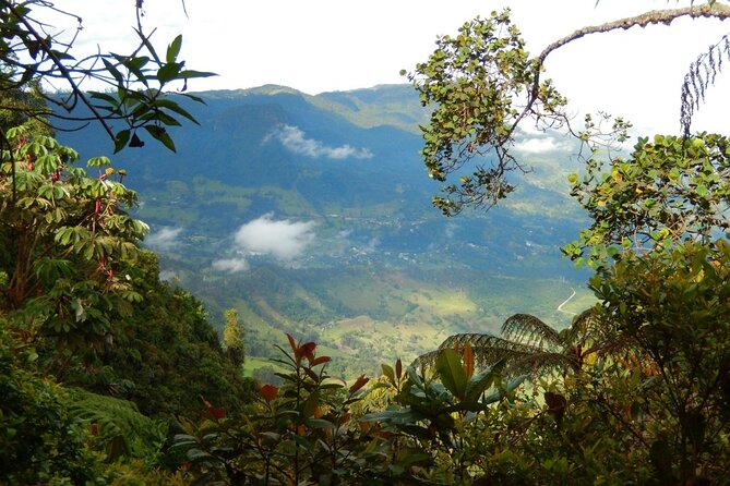 Birdwatching at Monserrate Bogotá 4H - Ratings and Reviews