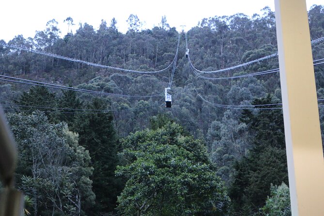 Birdwatching at Monserrate Bogotá 4H - Questions About Your Stay