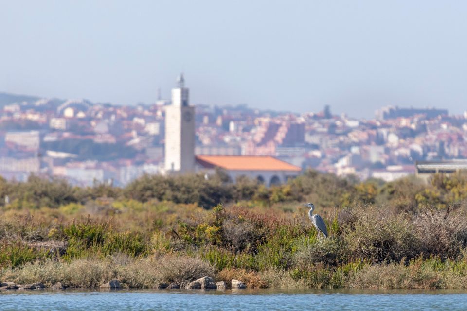 Birdwatching Boat Tour in the Tagus Estuary - Frequently Asked Questions