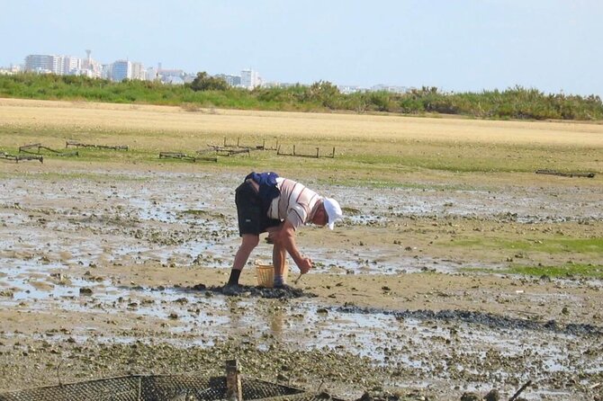 Birdwatching in Ria Formosa - Eco Boat Tour From Faro - Eco-Friendly Experience