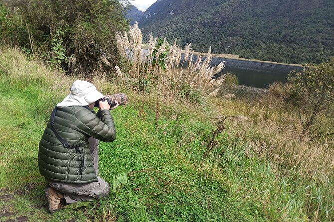 Birdwatching Tour Cajas Park and Tamarindo Tropical Forest Area From Cuenca - Traveler Reviews and Ratings