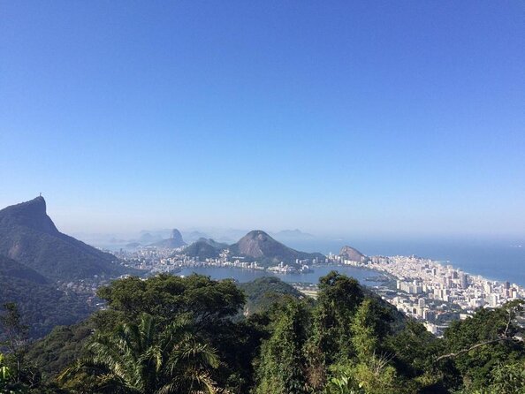 Birdwatching Tour to Tijuca National Park With Pica-Pau Tours - Good To Know