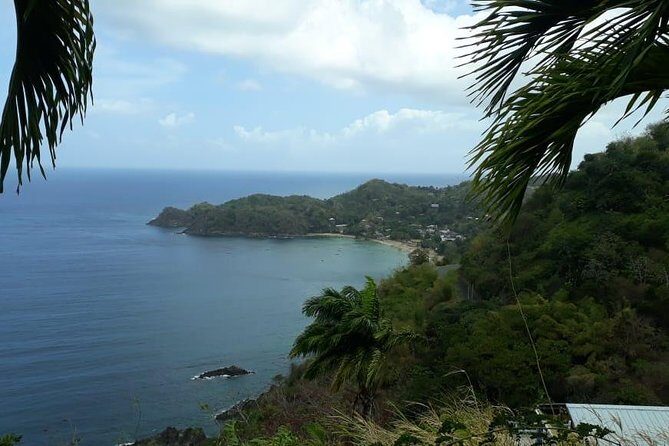 Birdwatching, Waterfall, Rainforest and Island Nature Tours - What You Can Expect on This Tour