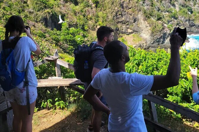 Birdwatching, Waterfall, Rainforest and Island Nature Tours - The Sum Up