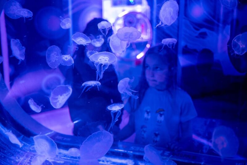 Birmingham: Cadbury World & SEA LIFE Birmingham - Uncover Chocolates Captivating History