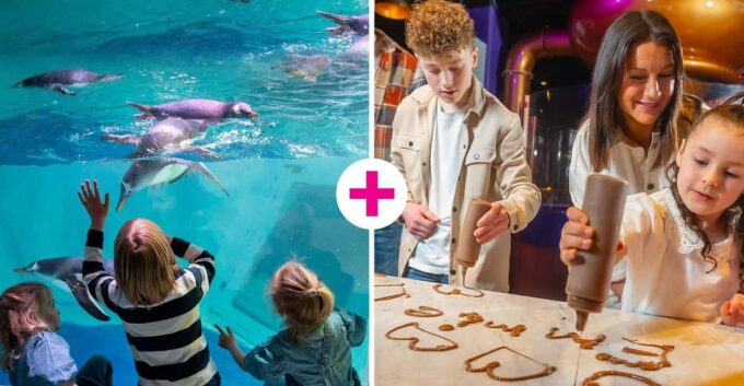 Birmingham: Cadbury World & SEA LIFE Birmingham - Sum Up