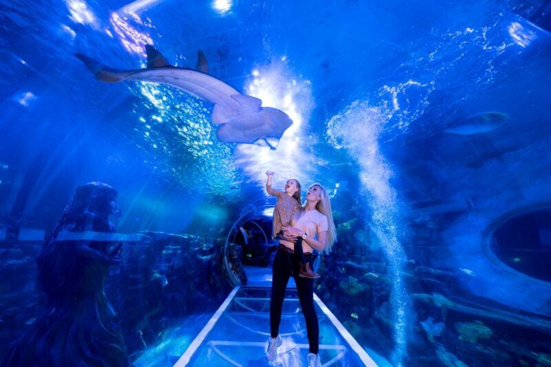 Birmingham: National Sea Life Centre Entrance Ticket - Additional Considerations