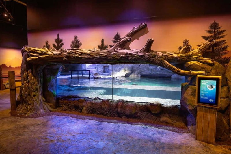 Birmingham: National Sea Life Centre Entrance Ticket - Key Points