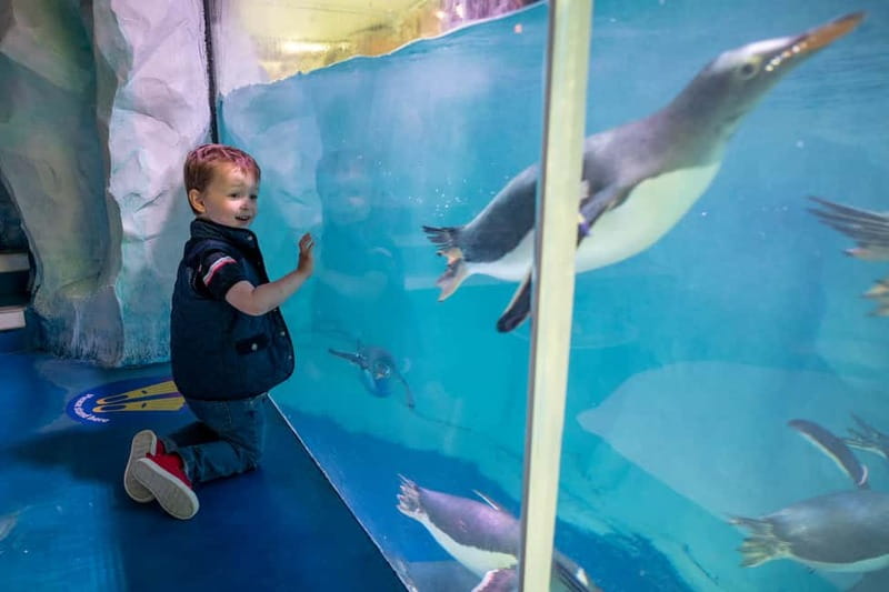 Birmingham: National Sea Life Centre Entrance Ticket - FAQ