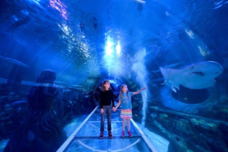 Birmingham: National Sea Life Centre Entrance Ticket - Highlights of the Experience