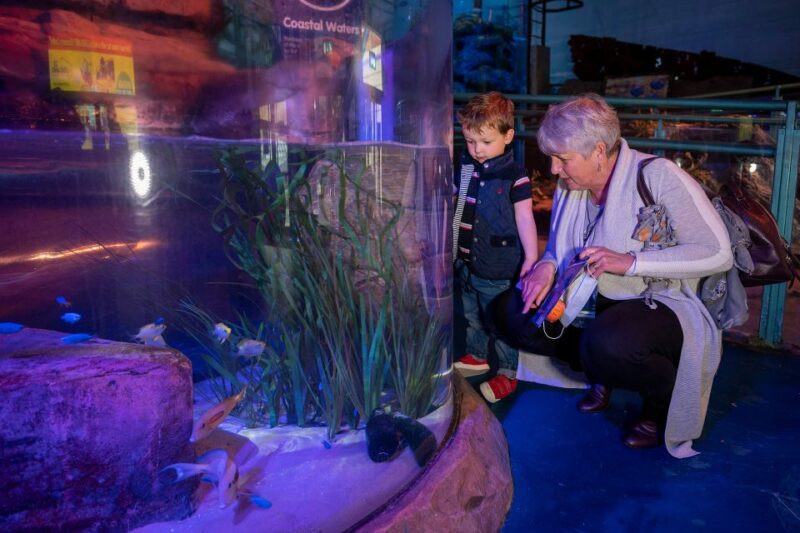Birmingham: National Sea Life Centre Entrance Ticket - Accessibility Options Available
