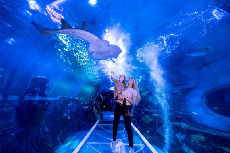 Birmingham: National Sea Life Centre Entrance Ticket - Location and Directions