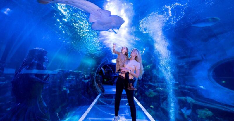 Birmingham: National Sea Life Centre Entrance Ticket - Customer Ratings Overview