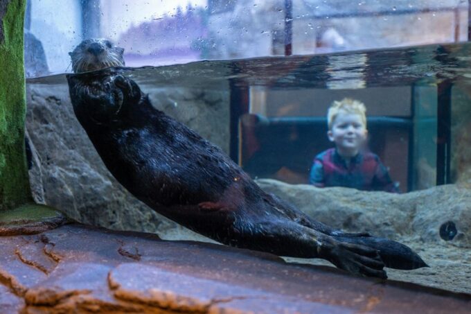 Birmingham: National Sea Life Centre Entrance Ticket - Booking and Cancellation Policies