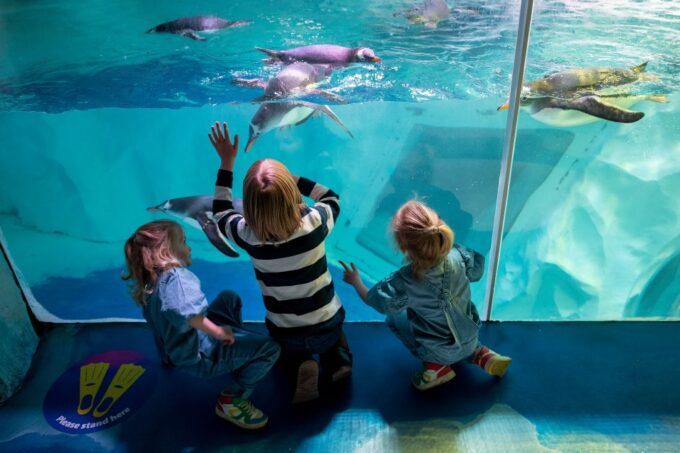 Birmingham: National Sea Life Centre Entrance Ticket - Facilities and Amenities