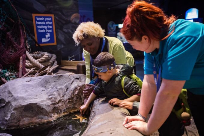 Birmingham: National Sea Life Centre Entrance Ticket - Special Attractions to Explore