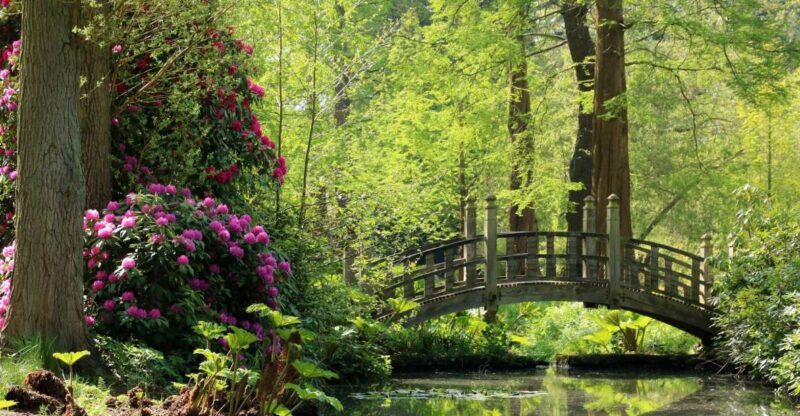 Birmingham: Winterbourne House and Garden Admission Ticket - Exploring the Botanic Garden