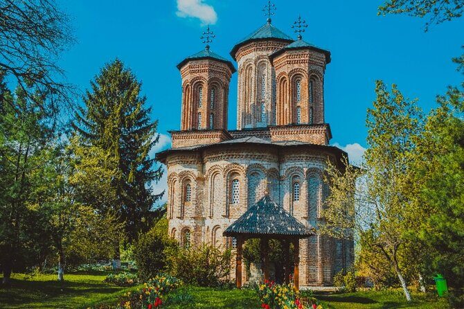 Bison Sanctuary, Vlad the Impaler Princely Court & Dracula Grave - An In-Depth Look at the Tour Itinerary