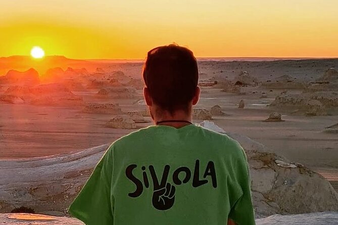 Black and White Desert and Bahariya Oasis Tour 2 Days 1 Night - Exploring the Black Desert