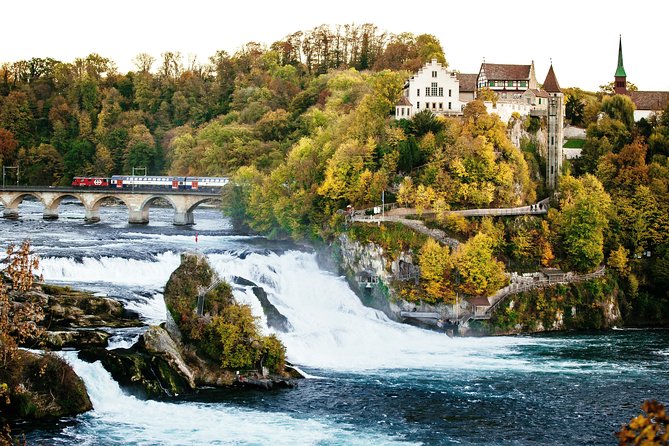 Black Forest and Rhine Falls Day Trip From Zurich - Tour Experience Feedback
