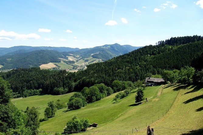 Black Forest Day Tour - Transportation and Accessibility