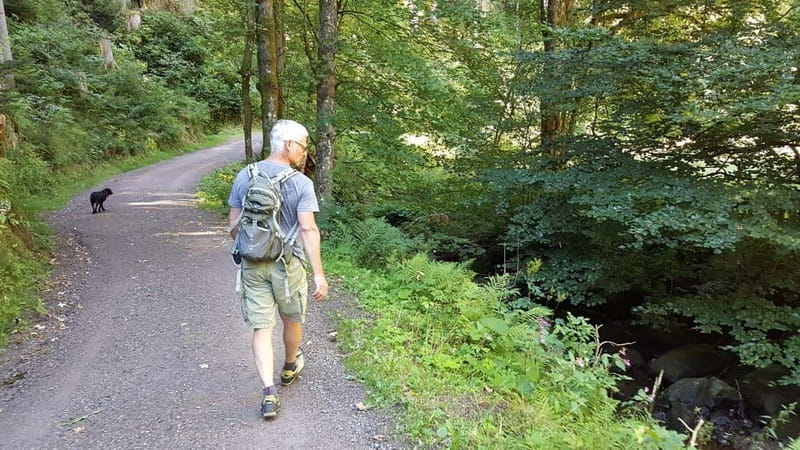 Black Forest: Ravenna Gorge Hike, Self-Guided - Key Points