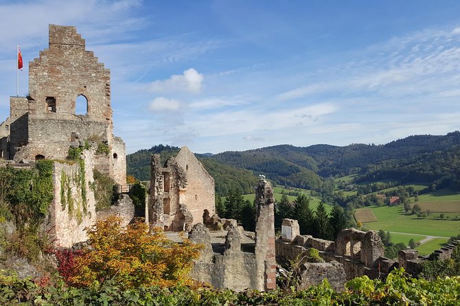 Black Forest Tour by Car: Baden-Baden to Freiburg or Vice Versa - Navigating the Winding Roads to Freiburg
