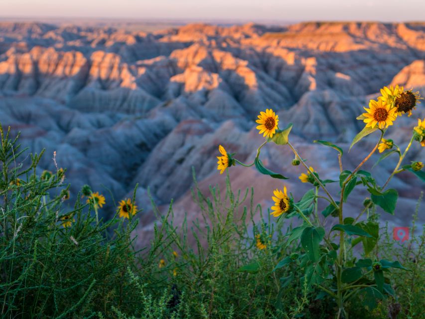 Black Hills & Badlands Driving Tour Bundle - Booking and Availability Details