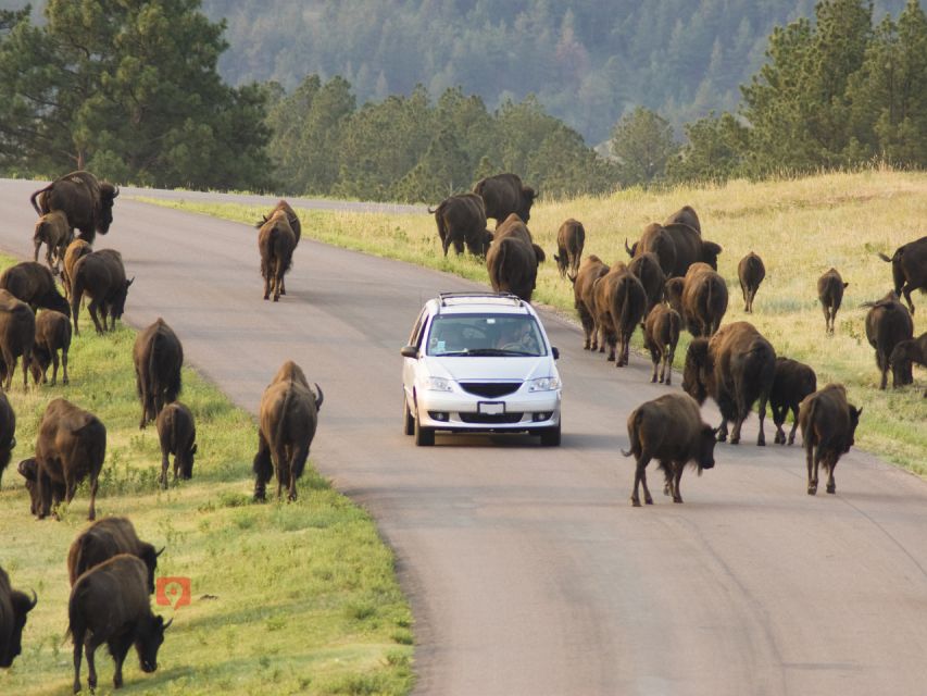 Black Hills & Badlands Driving Tour Bundle - Frequently Asked Questions