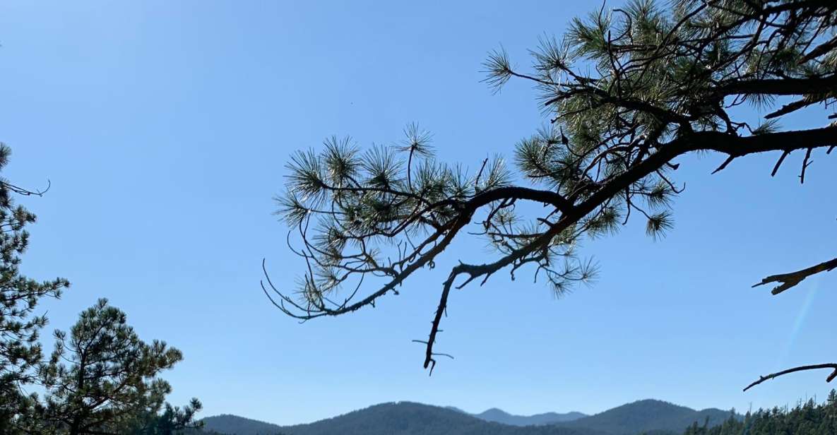 Black Hills: Private Tour of Mt. Rushmore & Flume Trail Hike - Booking Information