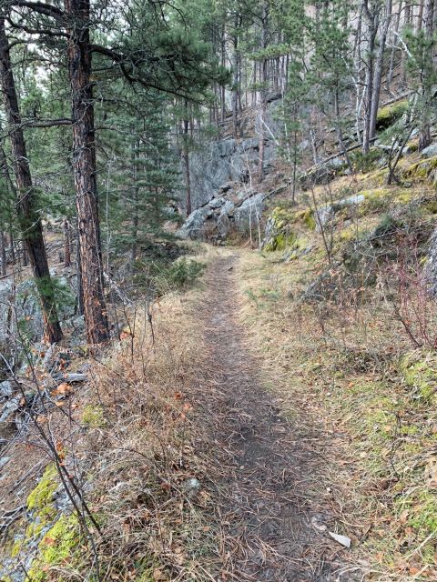 Black Hills: Private Tour of Mt. Rushmore & Flume Trail Hike - Additional Info