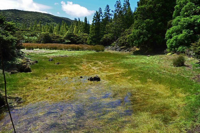 Black Mysteries Hiking Trail - Terceira Azores - Good To Know