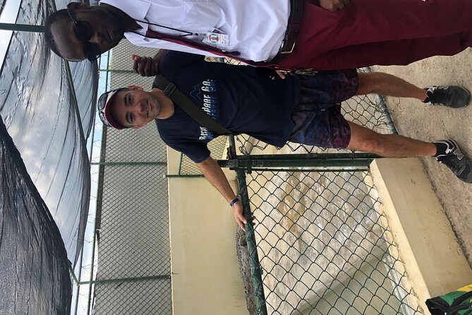 Black River Safari and YS Falls - Key Points