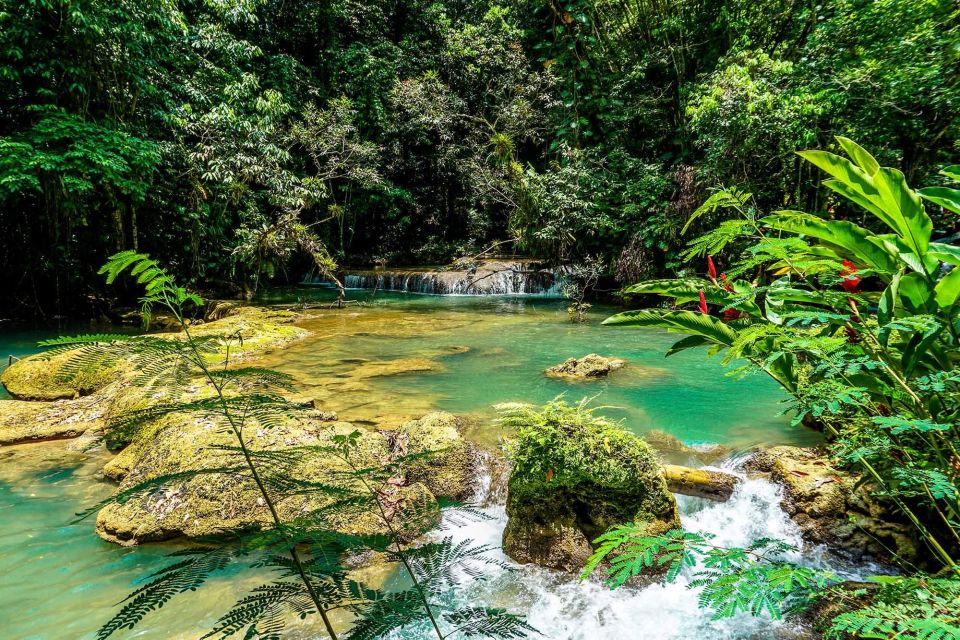 Black River Safari and Ys Falls Tour and Transportation - Key Points