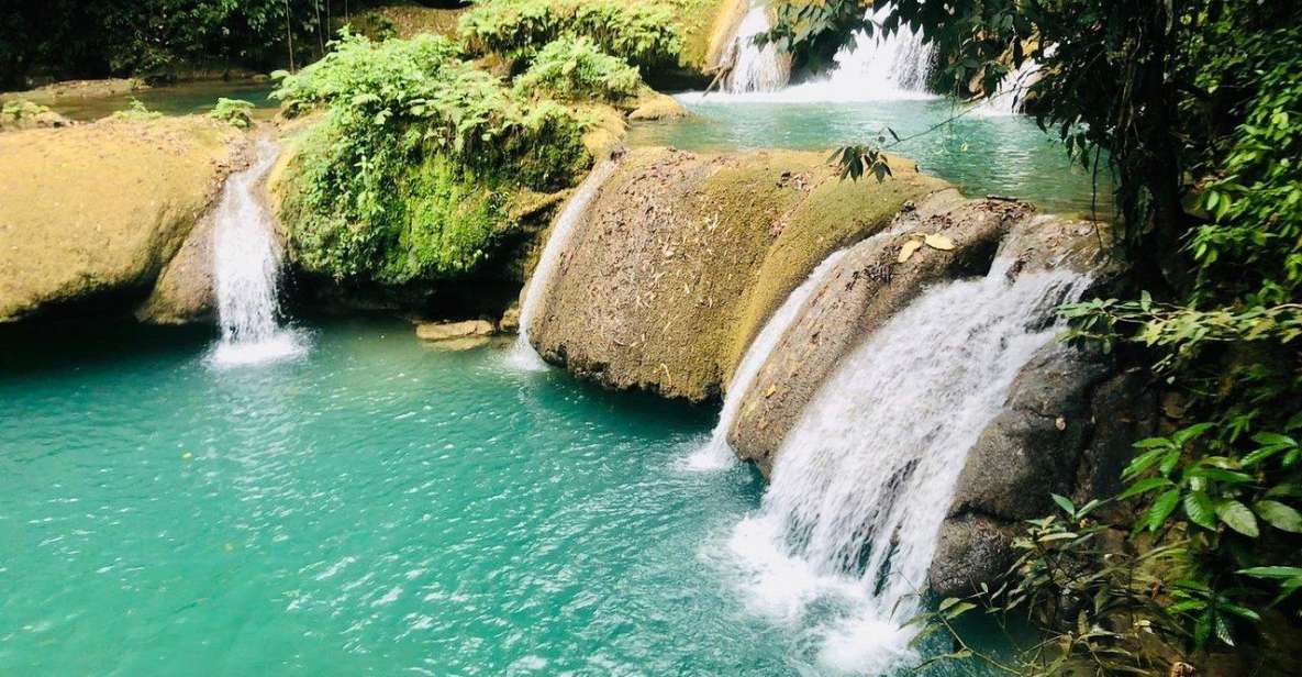 Black River Safari and Ys Falls Tour and Transportation - Black River Safari